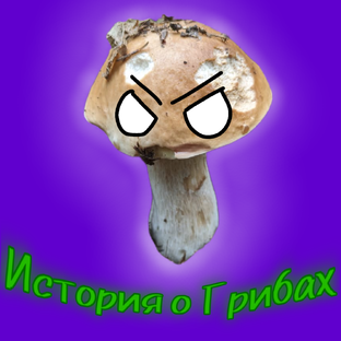История о Грибах