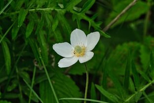 Красивая природа Красноярского края.