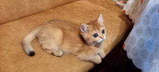 Детство - прекрасная пора