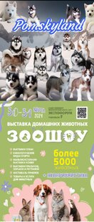 выставка