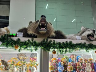 Вспоминая будущее