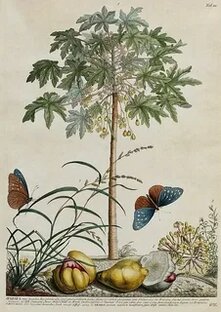 Походы в лес и на природу.