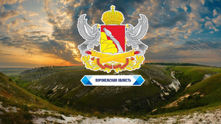 Воронежская область (ЦФО)