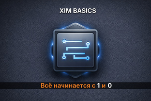XIM Basics