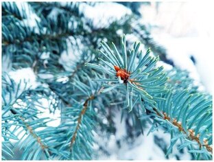 Вдохновляющие рассказы 