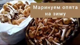 Соленья.Заготовки на зиму.