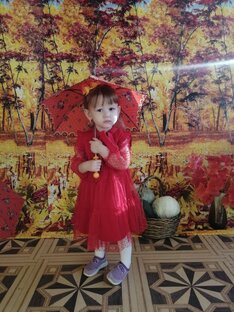 Клипы
