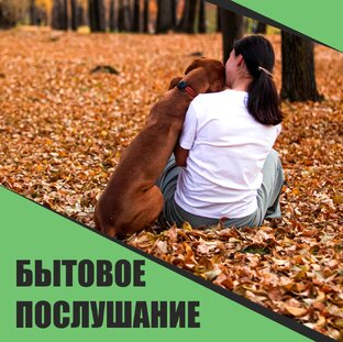 О воспитании и комфортном быте