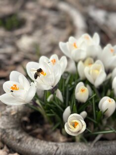 Было -Стало