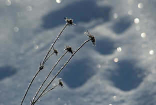 о фотографии