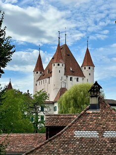 Полезные советы