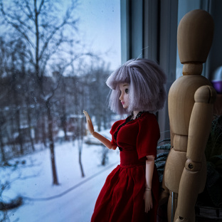 Пластиковые воспоминания  