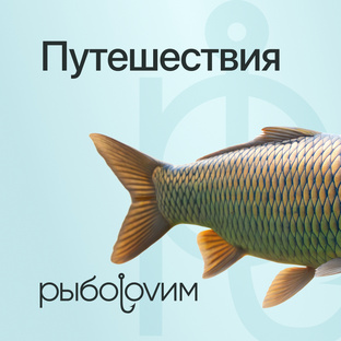 Путешествия и отдых