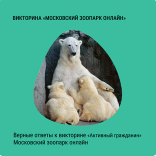 Московский зоопарк онлайн