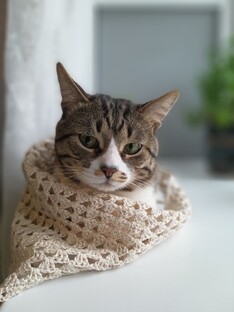 Статьи о вязании