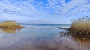 Обитатели заповедных водоёмов