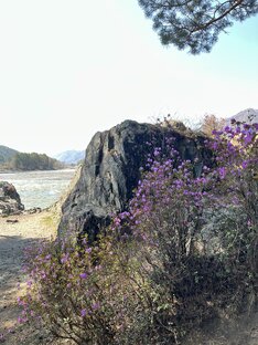 Музыка природы