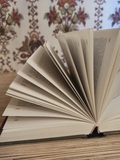 Что я читаю 📚