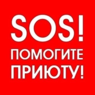 Посты с реквизитами для помощи приюту.