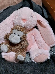 Плюшевые истории