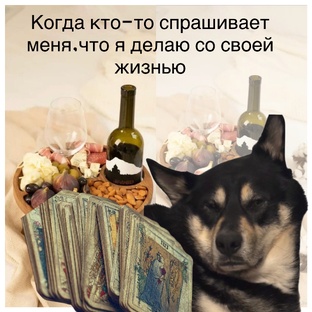 КАРТА ДНЯ 🃏