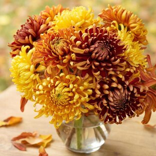 Поздравления с днём рождения 