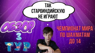 Чемпионат мира по шахматам 2023 до 14