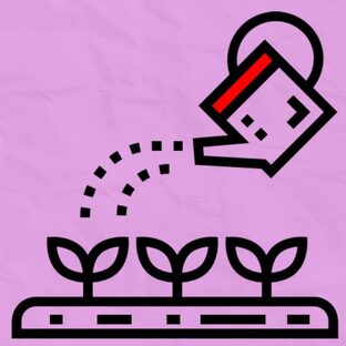 Сад, огород