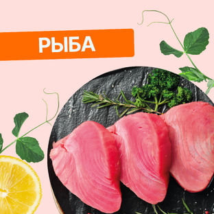 Все о рыбе
