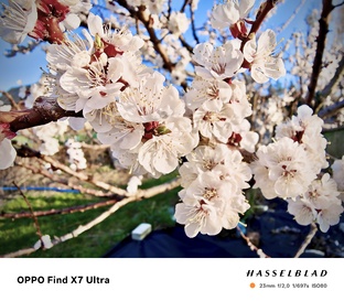 Видео сюжеты