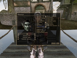 TES III: Morrowind. Начало игры.
