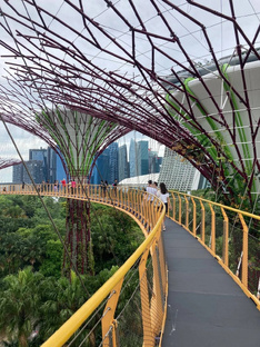 Сингапур 🇸🇬