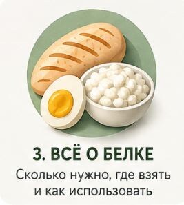 ВСЕ О БЕЛКЕ