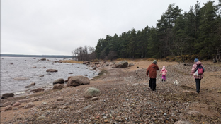 Прогулки одного дня