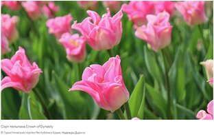 Туристические новости Крыма