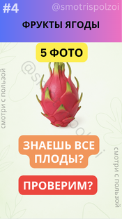 Викторина "Угадай Фрукт Ягоду" 