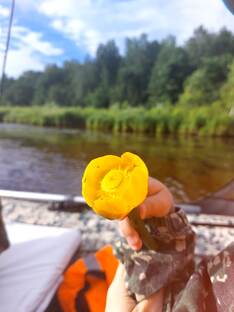 Как прошёл мой день