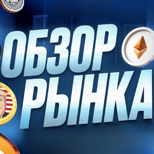 Актуальный обзор рынка
