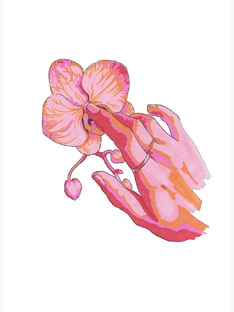 Все про лабиопластику