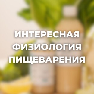 Интересная физиология пищеварения