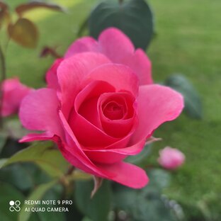 Уголок поэзии