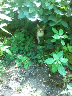 Заметки о природе🐝