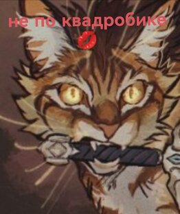 не по квд💋