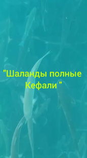 Рыбалка