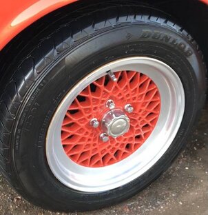 Всё вокруг Беляша