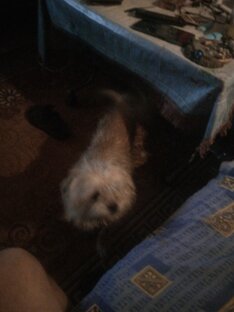 Проста сняли