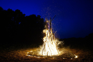 Погружение в прошлое 
