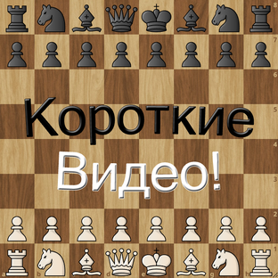 Короткие видео