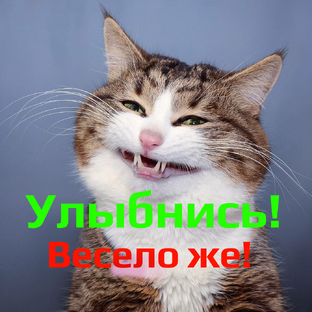 Мемуарная мемодельня 