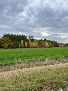 Настоящая красота 